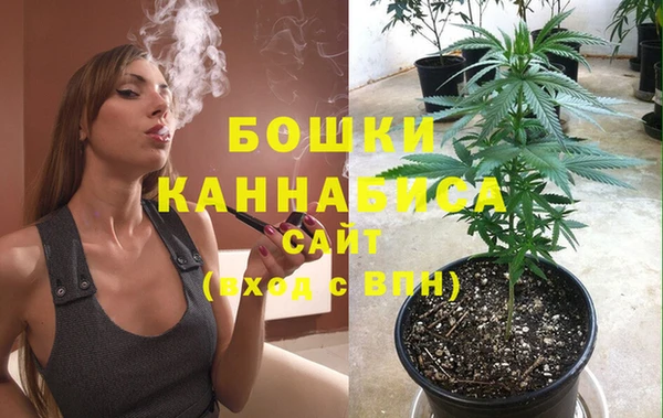 СК Богородицк