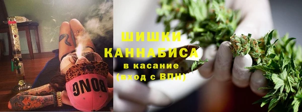 гашик Белоозёрский