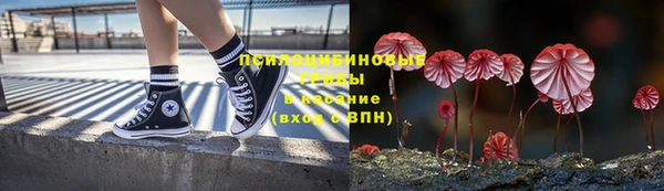 СК Богородицк