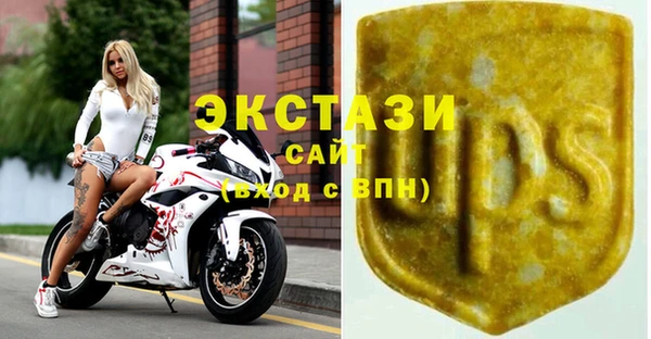 СК Богородицк