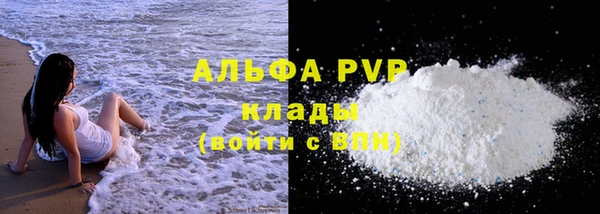 СК Богородицк