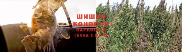 соль ск Богородск